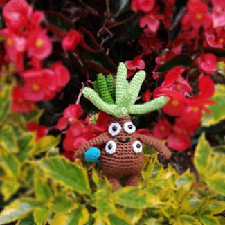 Frailejón Ernesto Pérez tejido en lana. Muñecos tejdos personalizados. Talykí Taller de Tejidos y diseño textil